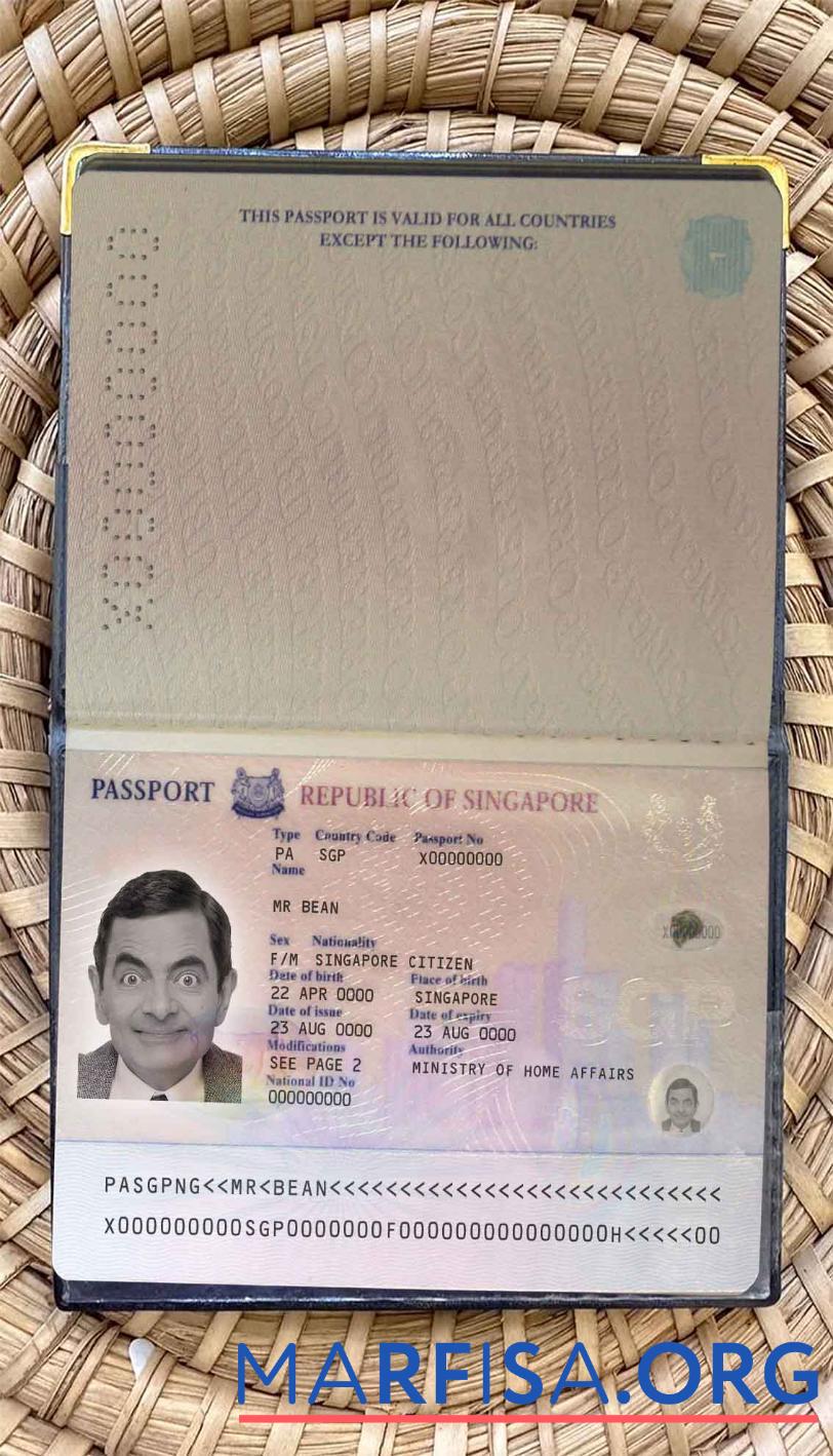 Blank Singapore pass (2006 2017) photo look download for verification